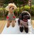 【FR PETS】ボーダーハートパッチプルオーバー