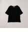 シアーメッシュ フロッキーストライプ半袖Tシャツ