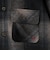 【WEB限定】POLO BCS（ポロ・ビーシーエス）起毛シャギーチェックCPOシャツ（BLACK）