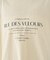 ピグメントロゴBIG Tシャツ