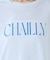 【MICA&DEAL /マイカアンドディール】"CHAILLY"print pu