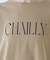 【MICA&DEAL /マイカアンドディール】"CHAILLY"print pu