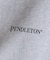 【PENDLETON/ペンドルトン】Back Print Zip Up Hood