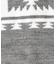 【PENDLETON / ペンドルトン】HARDING NECKWARMER/ネ