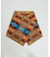 【PENDLETON WOOLEN MILLS / ペンドルトン ウーレン ミル
