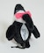 【CHUMS / チャムス】Booby Friends Key Pouch /