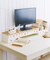 《WEB限定商品》おうちモニタースタンド