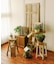 《WEB限定商品》ガーデンキャビネット／Natural Country Gard