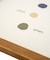 《WEB限定商品》COLORPALETTEアートパネル