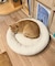 《WEB限定商品》ペットベッド／猫と暮らす