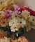 アートフラワーアネモネ／花のある暮らし