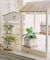 受け皿付きおうちポット2号／おうち植物