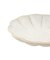 菊皿10cm