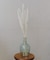 パンパスグラス／暮らしに花を添えて