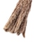 パンパスグラス／暮らしに花を添えて