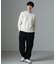 ノイズカモニット