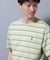 ナノベアボーダーTシャツ 半袖