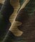 ブレード タンクトップ／BRAID TANK TOP