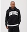 《DAILY／デイリー》PULLOVER SWEAT PARKA LOGO ／ プルオーバー スウェット パーカー ロゴ ／ AVIREX