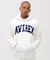 《DAILY／デイリー》PULLOVER SWEAT PARKA LOGO ／ プルオーバー スウェット パーカー ロゴ ／ AVIREX