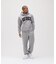 《DAILY／デイリー》PULLOVER SWEAT PARKA LOGO ／ プルオーバー スウェット パーカー ロゴ ／ AVIREX