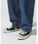 バーシティー ペインター パンツ／VARSITY PAINTER PANTS