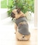 《DOG WEAR》イーグルタンク フレンチブルドック用