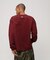 《WEB&DEPOT限定》CORE LOGO L／S T-SHIRT