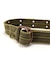 PIGMENT RING BELT