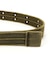 PIGMENT RING BELT