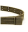 PIGMENT RING BELT