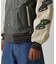 STADIUM JACKET WILD BEARS