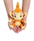 ポケモン（pokemon）ぬいぐるみ ヒコザル S PP88