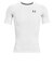 アンダーアーマー（UNDER ARMOUR）ヒートギア(夏向け) ショートスリーブ シャツ 1361518 100 アンダーシャツ 半袖 速乾
