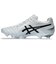 アシックス（ASICS）サッカースパイク サッカーシューズ 土 天然芝 人工芝用 DS LIGHT PRO 1103A095.101