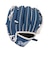 エムエルビー（MLB）MLB LAドジャース 9.5インチグローブ ボール セット 76099F19K6 LAD