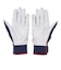 オークリー（OAKLEY）バッティング用グローブ 野球 STRIKING GLOVE 両手用 FOS901851-6DG