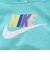 ナイキ（NIKE）CLUB FT HBR プルオーバーパーカー 76L095-EIG
