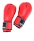 ファイティングロード（FIGHTING ROAD）ボクシンググローブ 16oz 赤 FR20SMO001/16/R ボクシング トレーニング