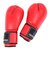 ファイティングロード（FIGHTING ROAD）ボクシンググローブ 12oz 赤 FR20SMO001/12/R ボクシング トレーニング