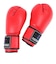 ファイティングロード（FIGHTING ROAD）ボクシンググローブ 12oz 赤 FR20SMO001/12/R ボクシング トレーニング