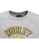 ハーレー（HURLEY）ジュニア オーバーサイズド スカル ヘッド スウェット クルー BCFL242004-AGHT