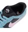 ナイキ（NIKE）スケートボードシューズ SB フォース 58 PRM L DV5476-400