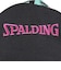 スポルディング（SPALDING）バッグパック ケイジャー パームツリー 40-007PA