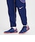 ナイキ（NIKE）サッカーウェア ストライク+ パンツ 撥水 HJ3805-492