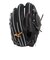 ミズノ（MIZUNO）硬式 グローブ グラブ 投手用 野球 一般 ミズノプロ CRAFTED Edition B 1AJGH32021 09 お一人様一点まで