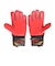 ロイシュ（REUSCH）キーパーグローブ サッカー アトラクト ソリッド 5560515-7075