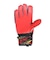 ロイシュ（REUSCH）キーパーグローブ サッカー アトラクト ソリッド 5560515-7075