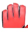 ロイシュ（REUSCH）キーパーグローブ サッカー アトラクト ソリッド 5560515-7075