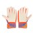 ロイシュ（REUSCH）キーパーグローブ サッカー アトラクト ソリッド ジュニア 5562515-2290
